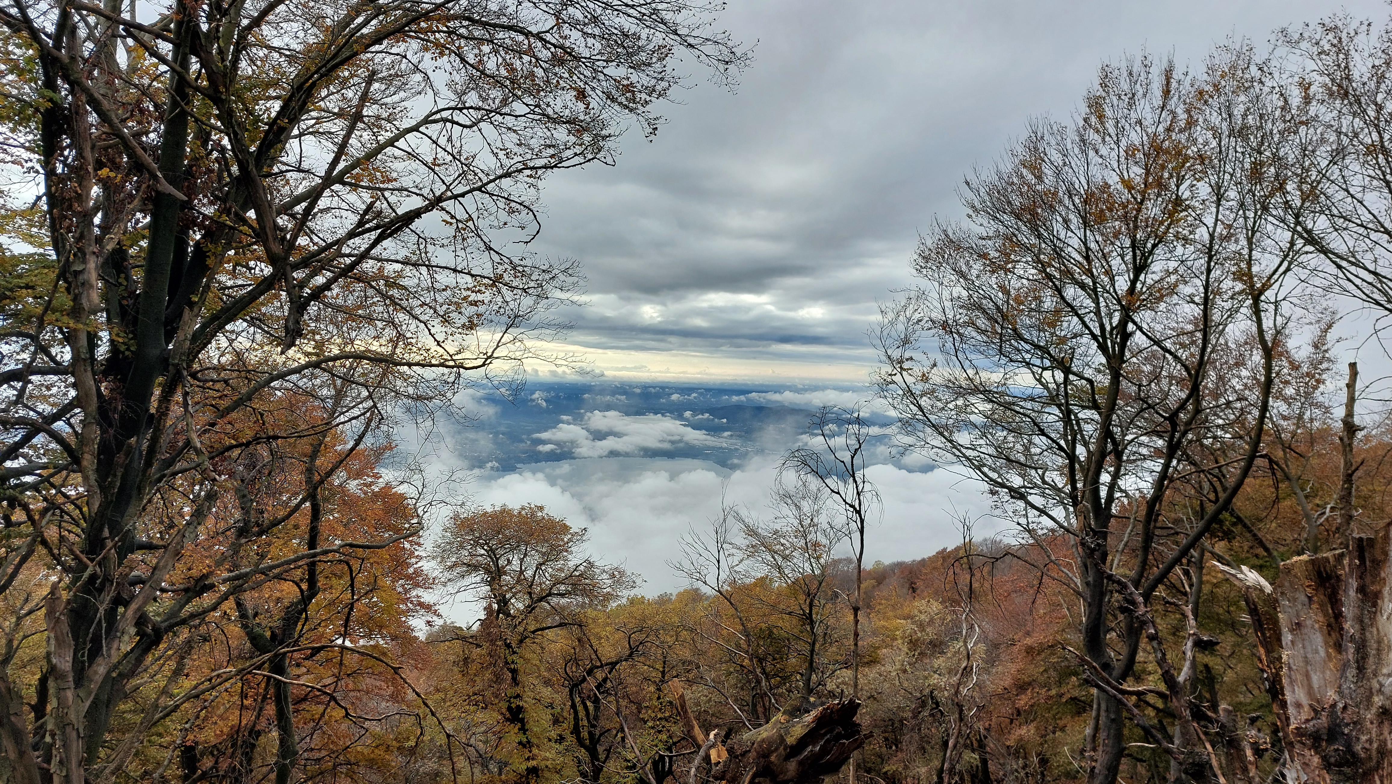 panorama